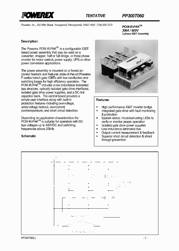 PP300T060_74917.PDF Datasheet
