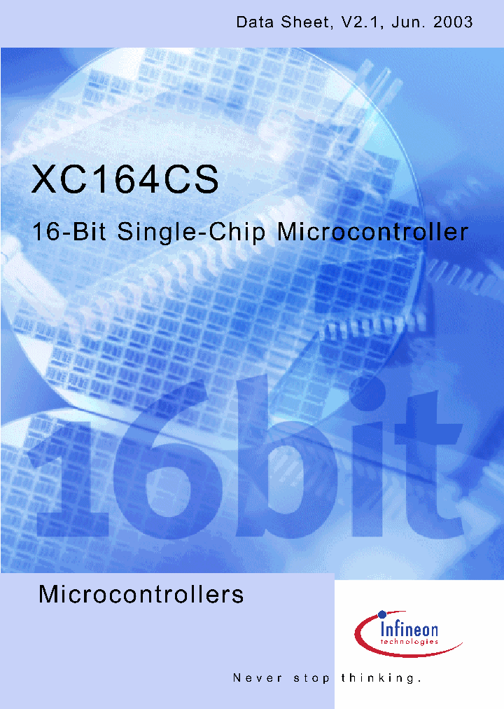 XC164CS_46124.PDF Datasheet