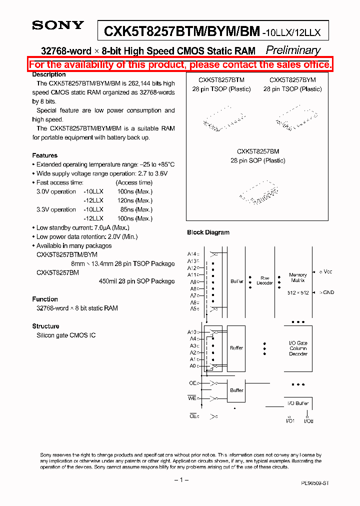 CXK5T8257BM_214567.PDF Datasheet