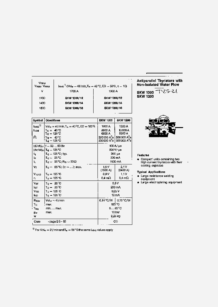 SKW1000_621118.PDF Datasheet