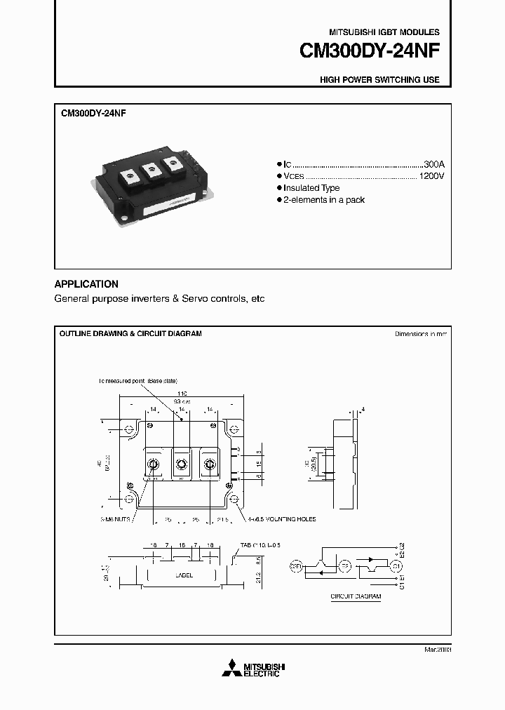 CM300DY-24NF_890831.PDF Datasheet