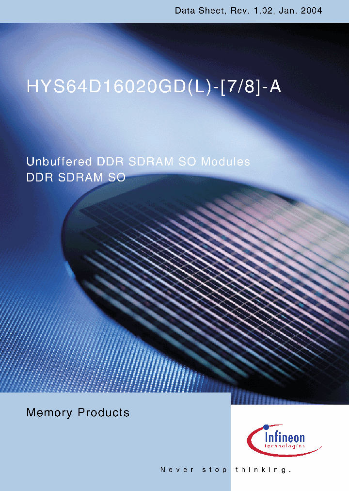 HYS64D16020GD_785732.PDF Datasheet