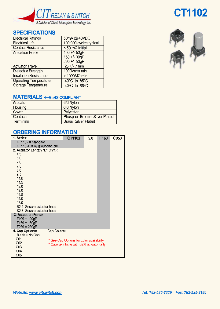 CT110250F100C01_627134.PDF Datasheet