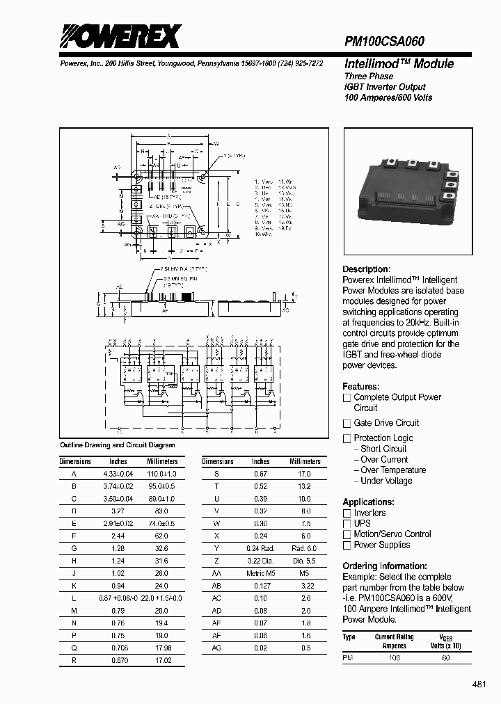 PM100CSA060_1031477.PDF Datasheet