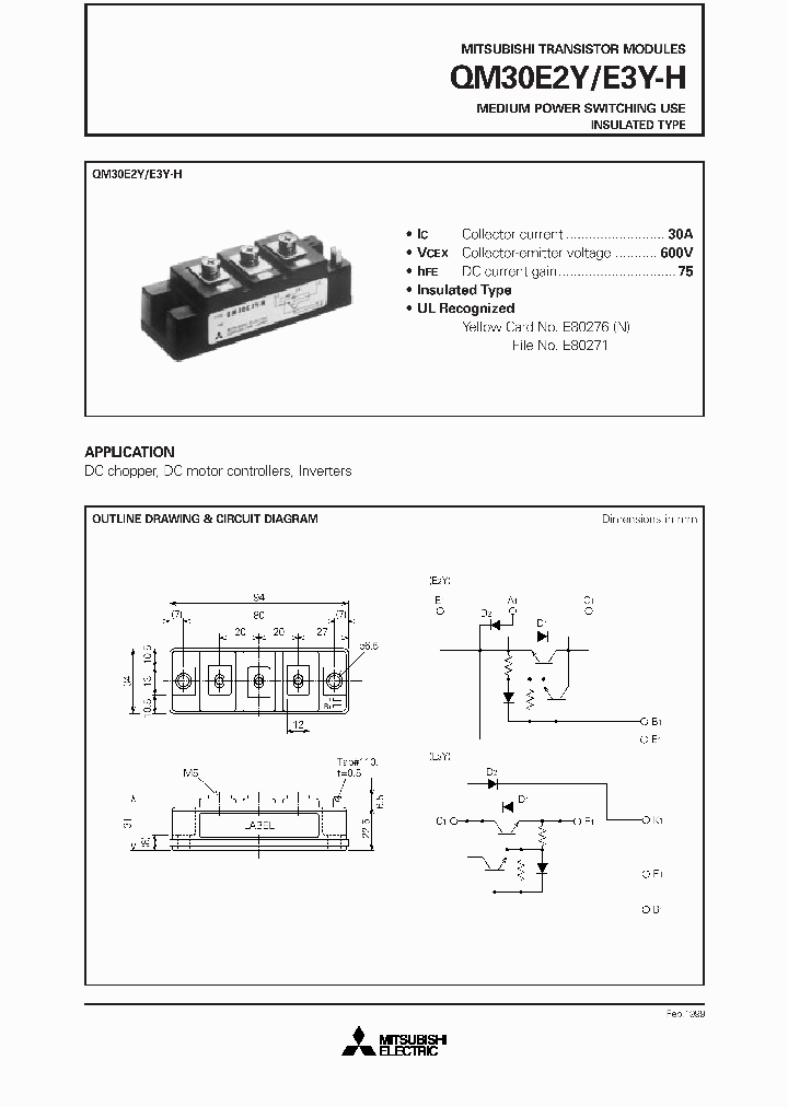 QM30E2Y_1299948.PDF Datasheet