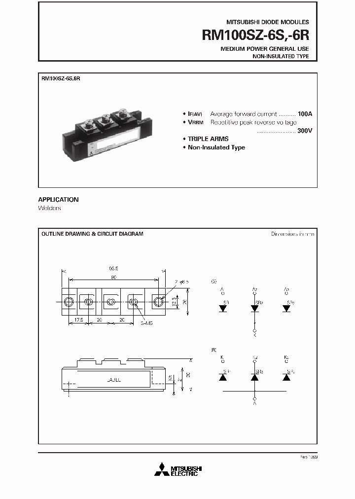 RM100SZ-6S_1302121.PDF Datasheet