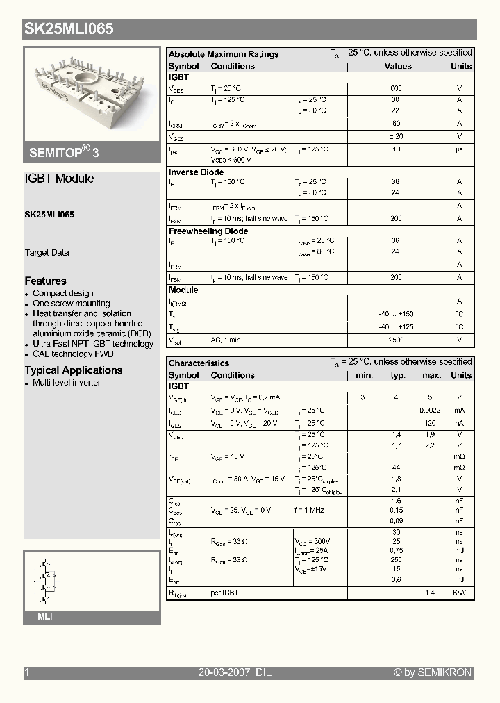 SK25MLI065_4130799.PDF Datasheet