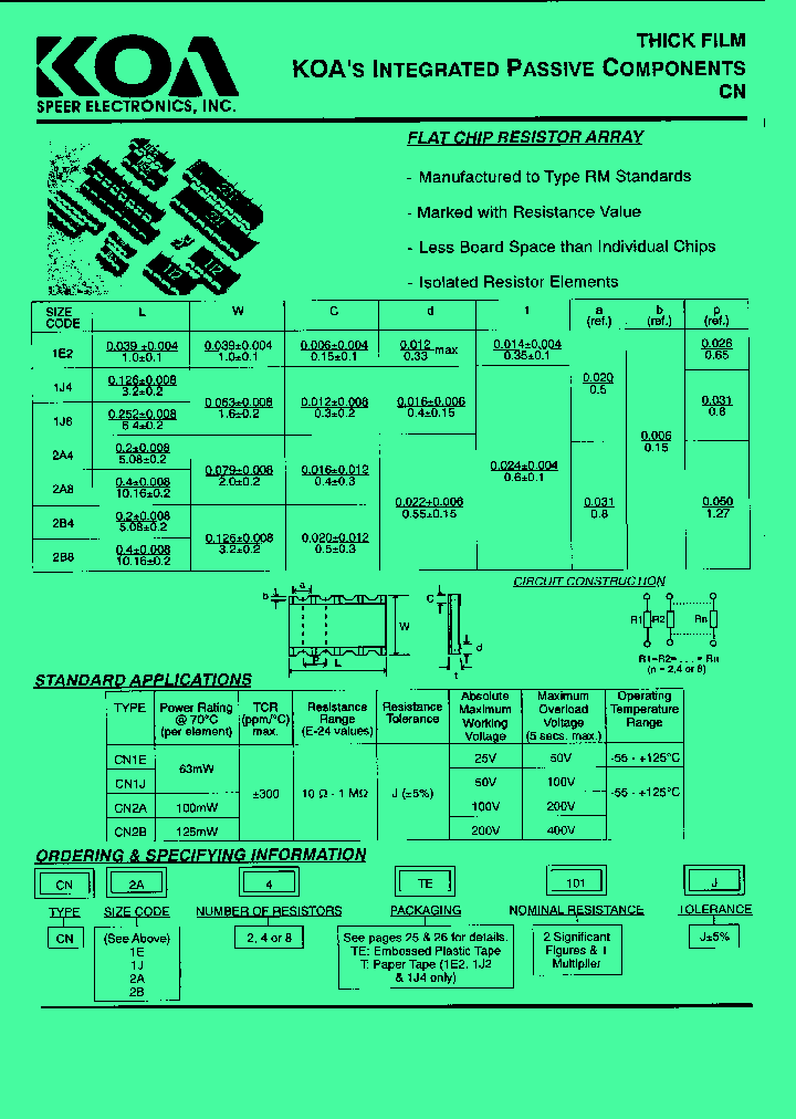 CN1J4T101J_4891854.PDF Datasheet