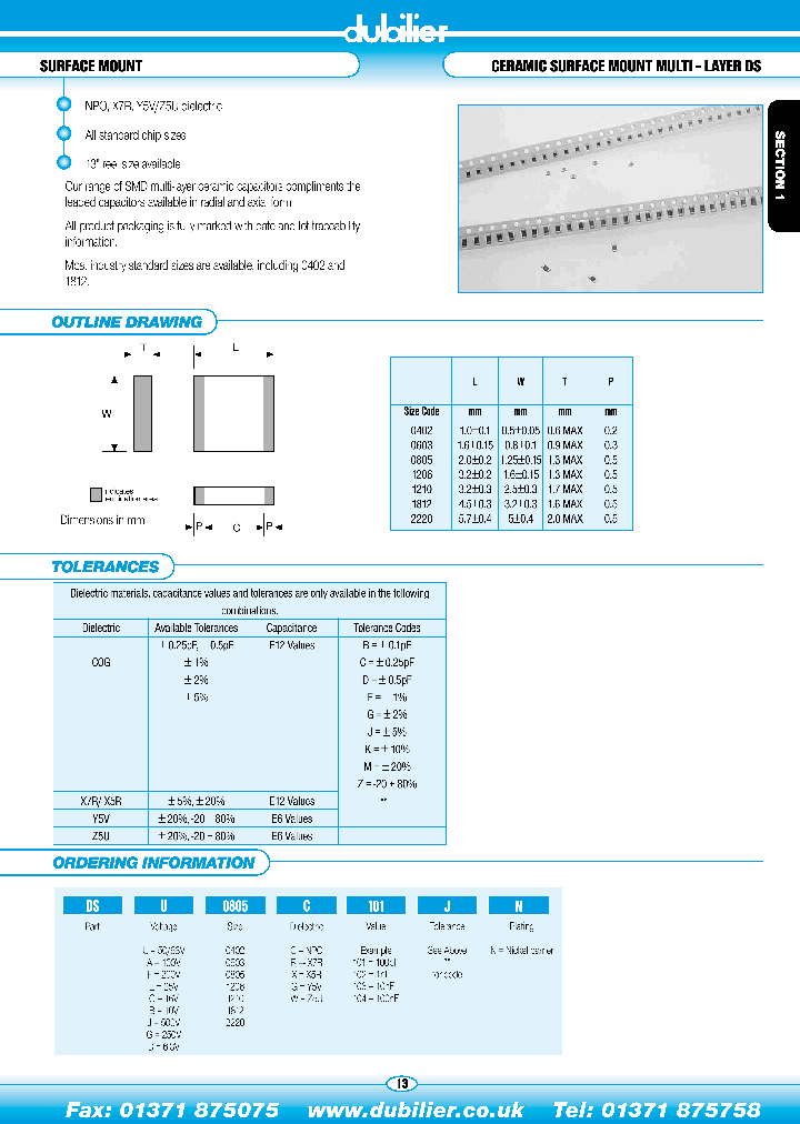 DSE0603C101JN_4538946.PDF Datasheet