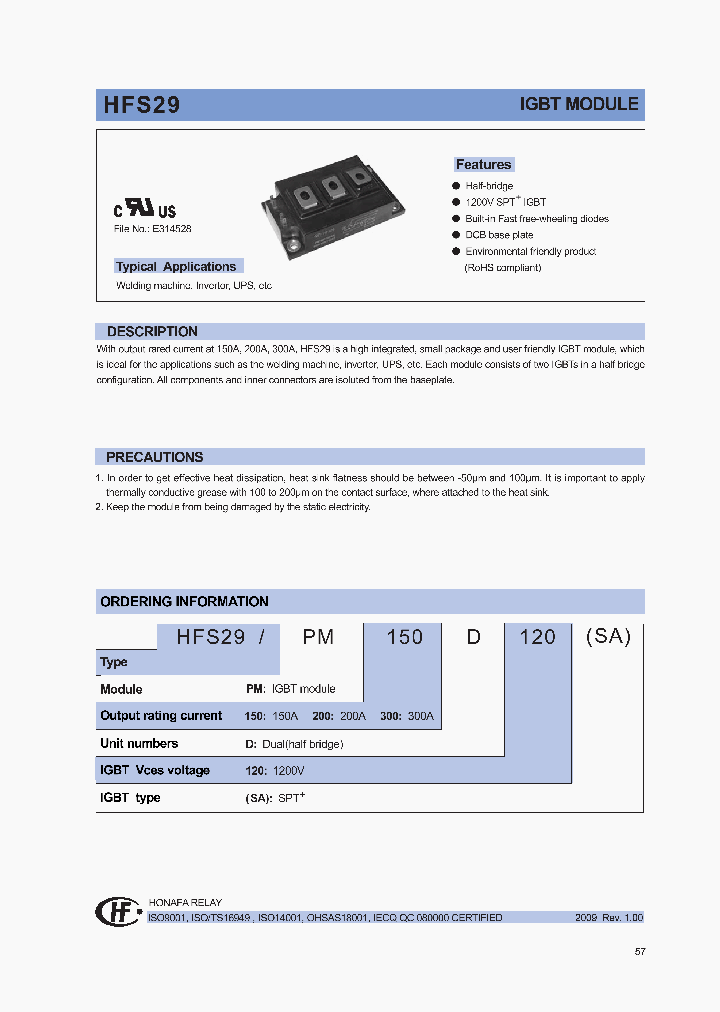 HFS29PM200D120SA_4513933.PDF Datasheet