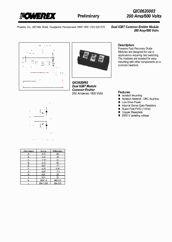 QIC0620003_4215257.PDF Datasheet
