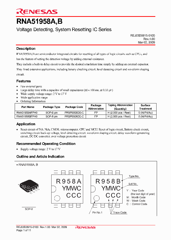 RNA51958A_4527443.PDF Datasheet