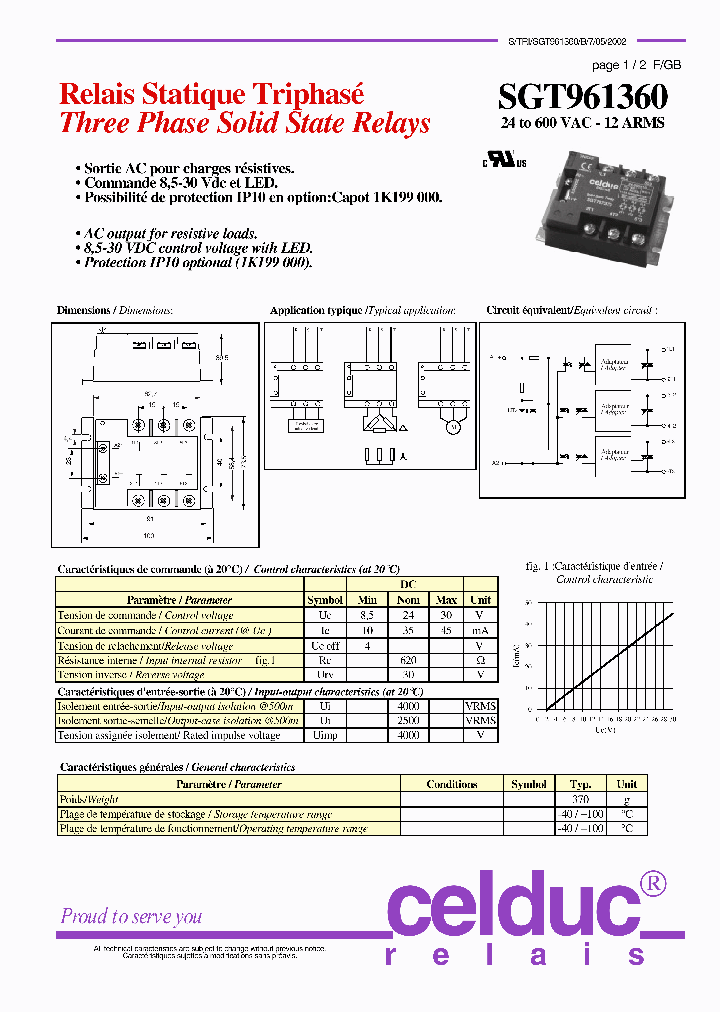 SGT961360_4320645.PDF Datasheet