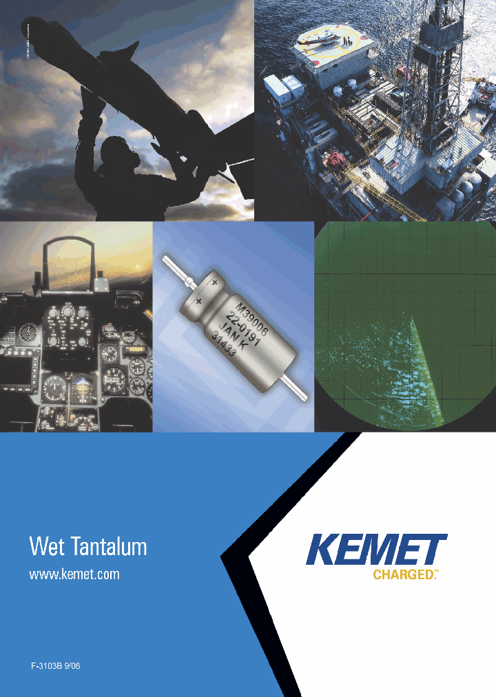 T295A256M008ASC-0200_4185261.PDF Datasheet