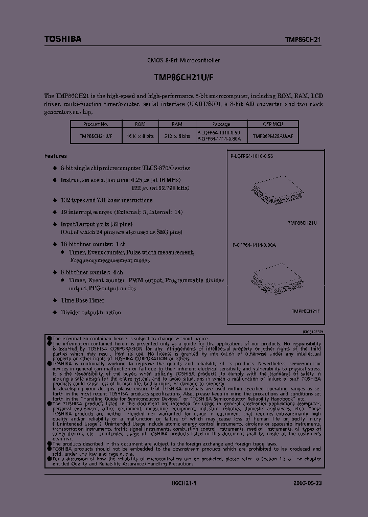 E03052386CH21SUMMARY_979507.PDF Datasheet