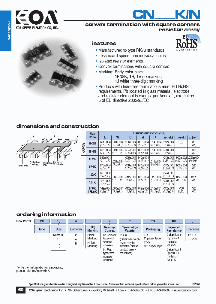 CN1J4KTTDD101F_5007782.PDF Datasheet