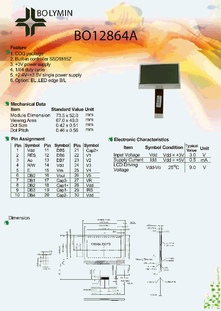 BO12864A_38148.PDF Datasheet