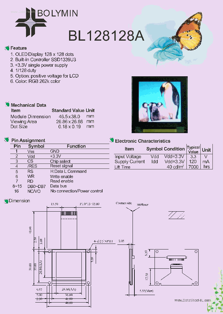 BL128128A_146480.PDF Datasheet