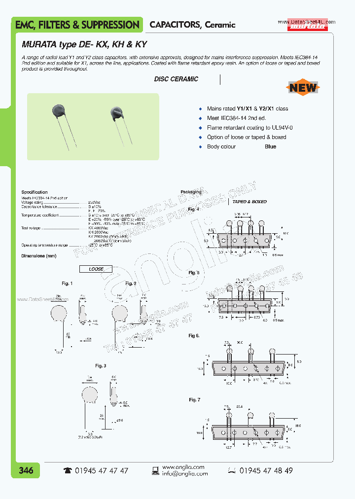 DE1B3KX101KA5B_155407.PDF Datasheet