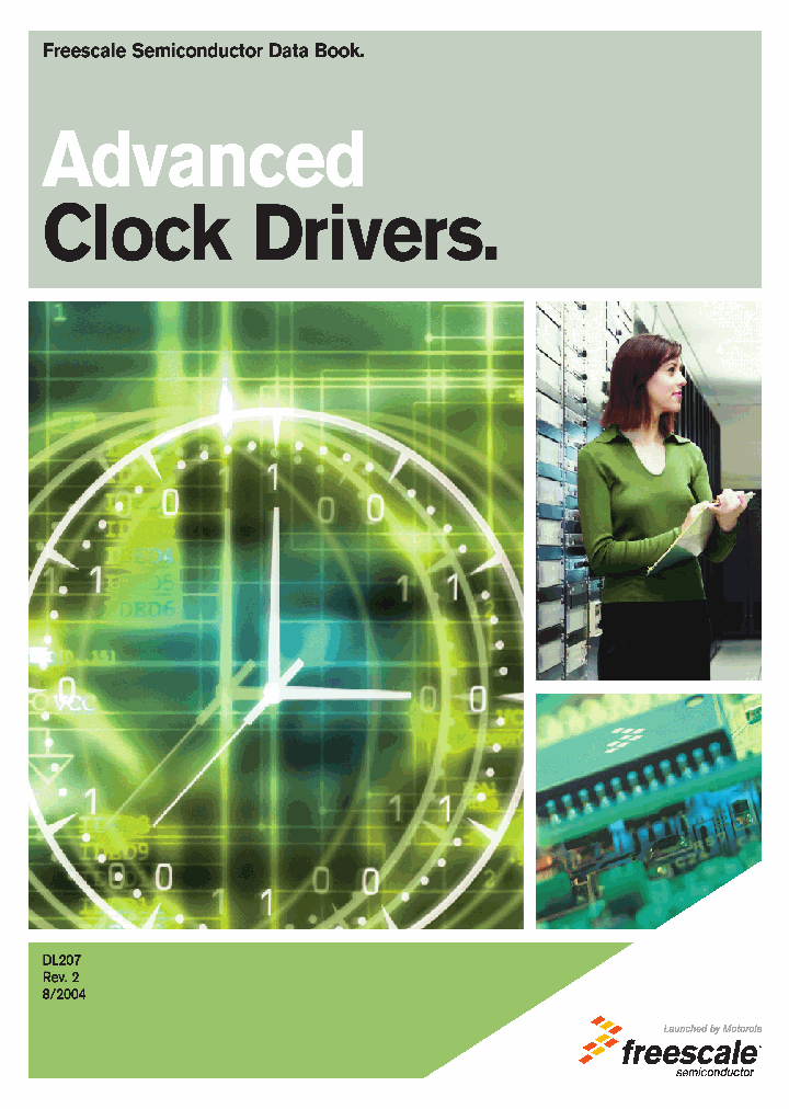 DL207_316662.PDF Datasheet