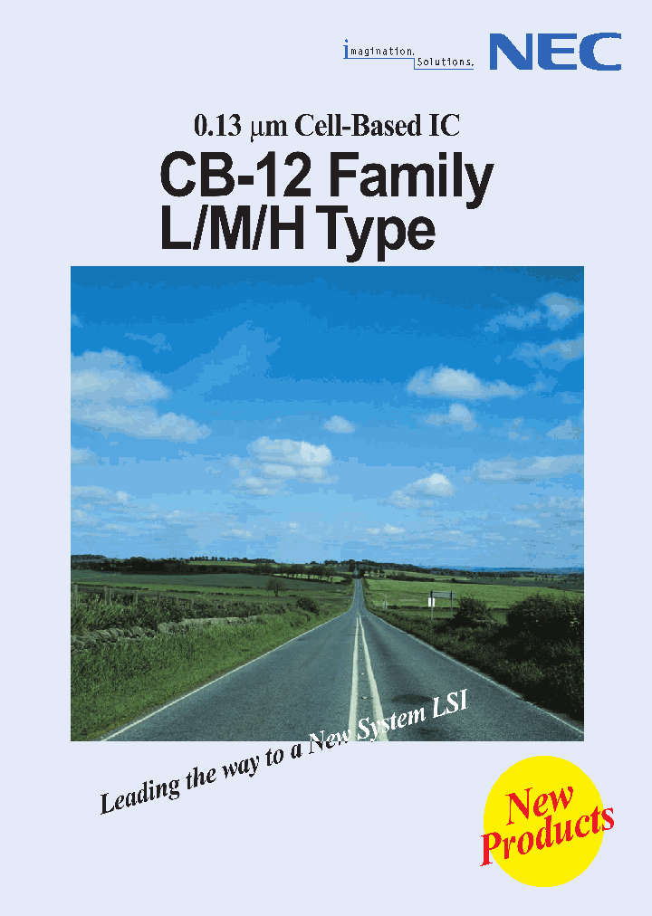 UPD80XXXX_682710.PDF Datasheet