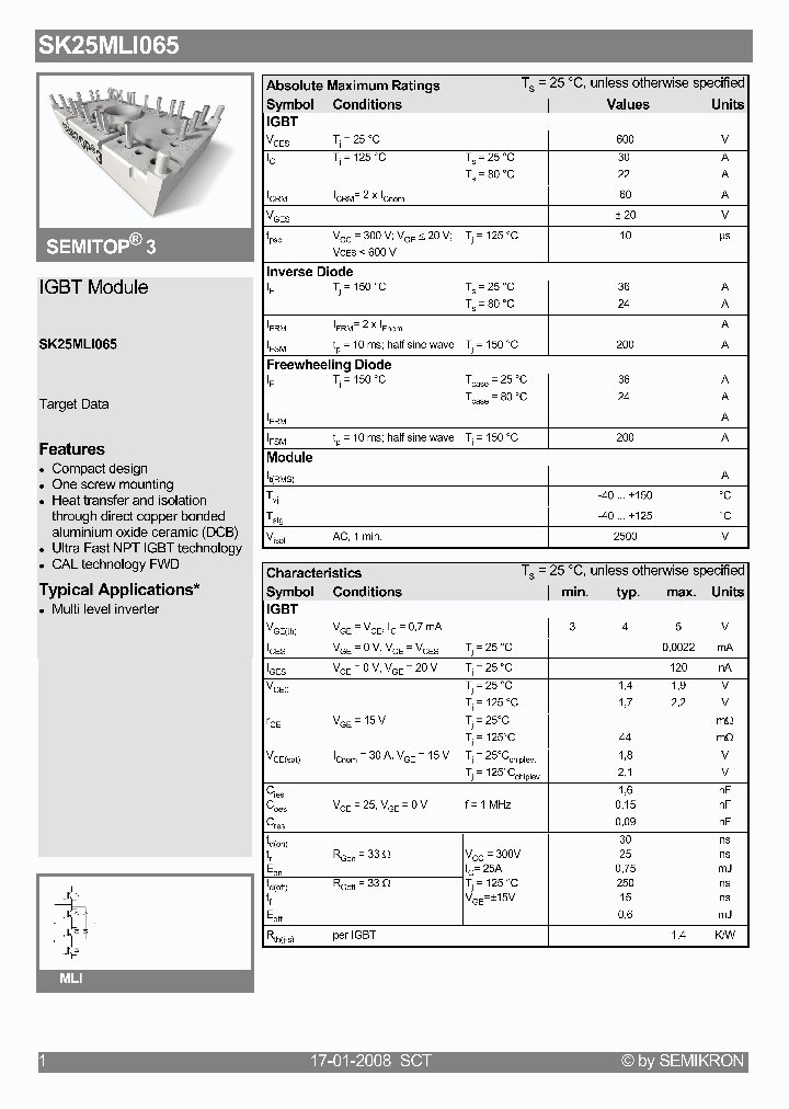 SK25MLI06508_1274754.PDF Datasheet