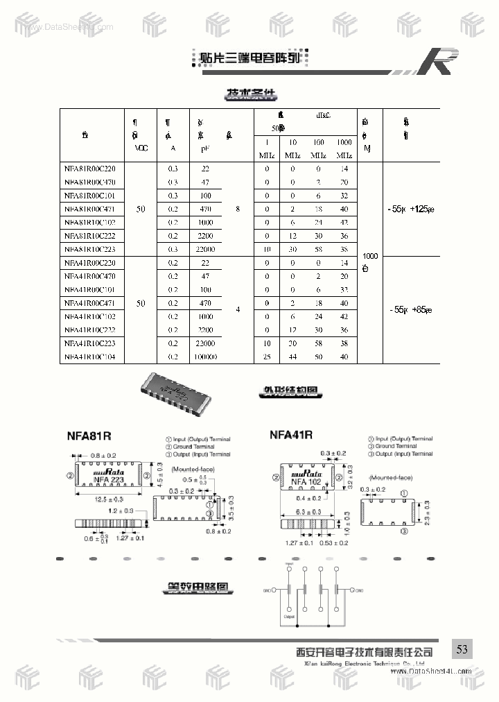 NFA41R10CXXX_1293307.PDF Datasheet