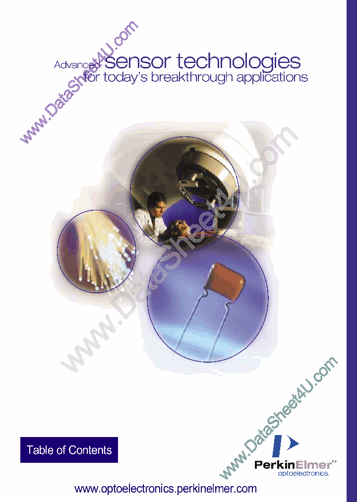 PVGS1S06_1300863.PDF Datasheet