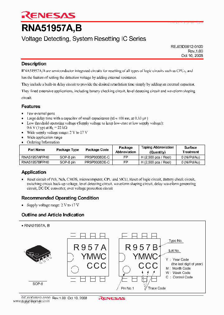 RNA51957A_1960676.PDF Datasheet