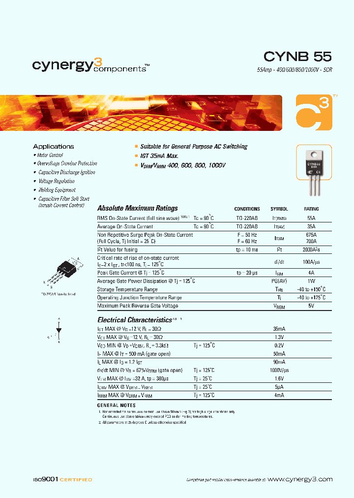 CYNB55-1000PT_2221701.PDF Datasheet