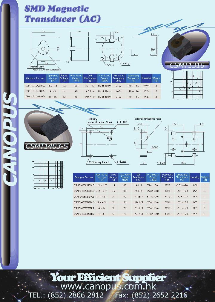 CSMT1310A2400L_2425309.PDF Datasheet