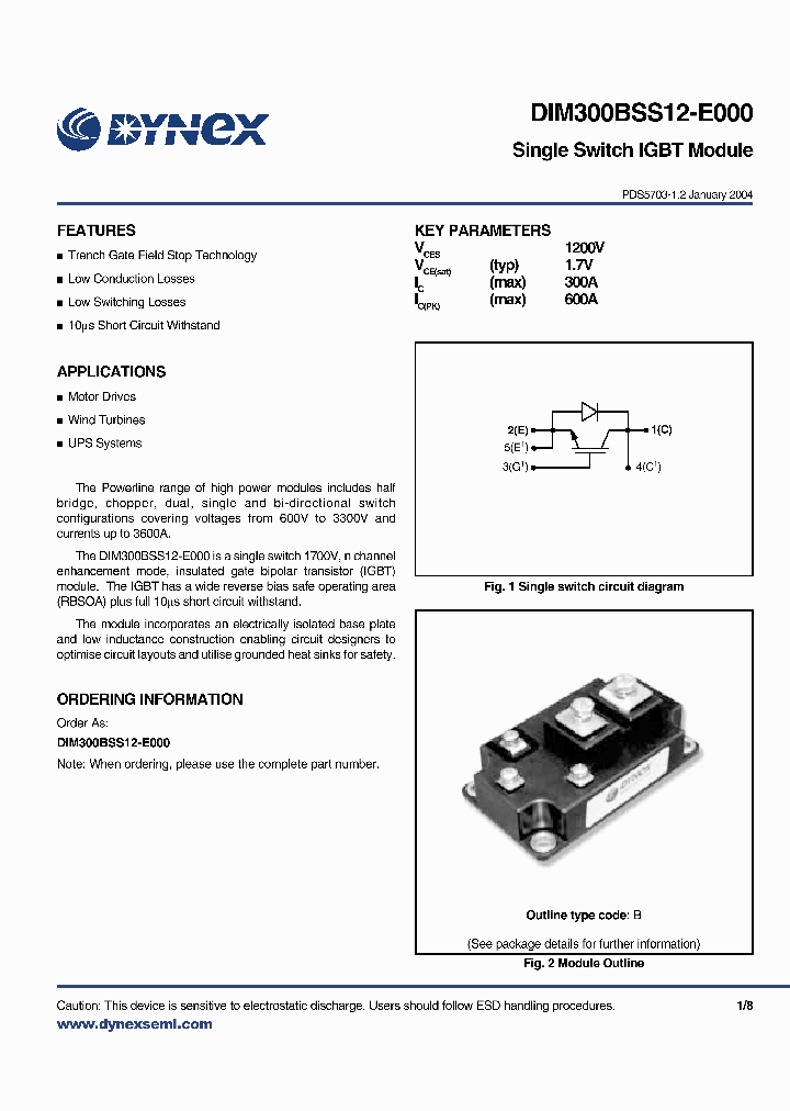 DIM300BSS12-E_2432172.PDF Datasheet