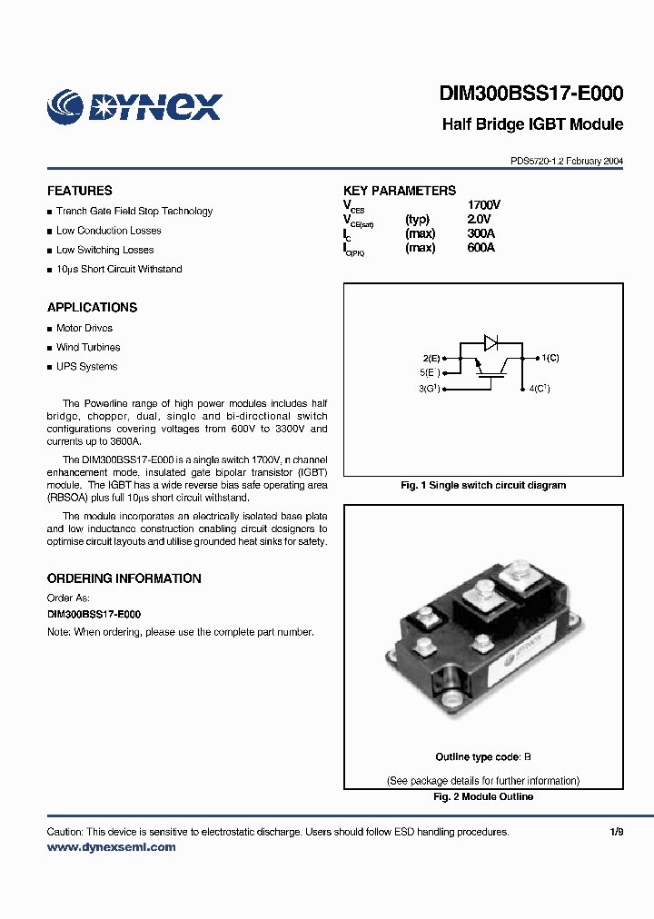 DIM300BSS17-E_2432173.PDF Datasheet
