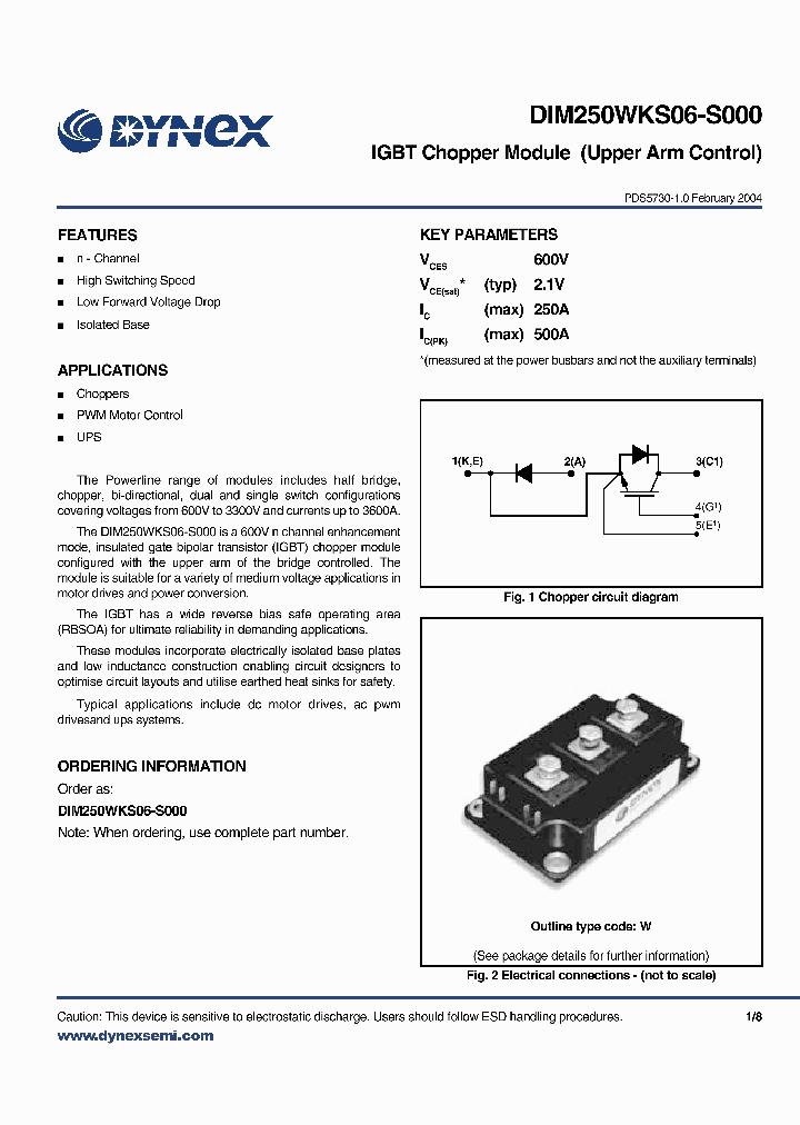 DIM250WKS06-S_2448895.PDF Datasheet