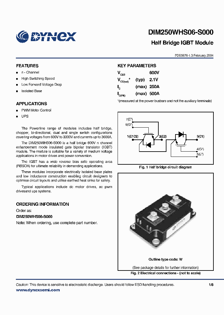 DIM250WHS06-S_2448894.PDF Datasheet