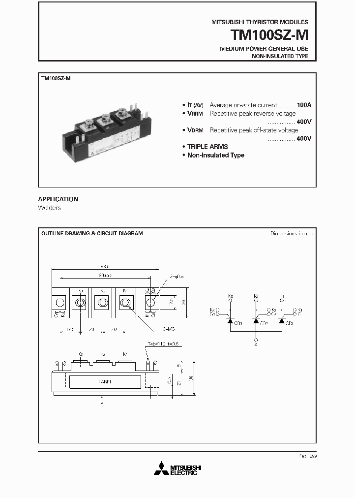 TM100SZ-M_2995360.PDF Datasheet