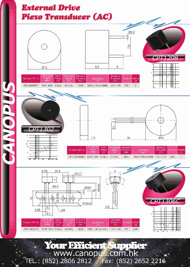 CPT1302_3100336.PDF Datasheet