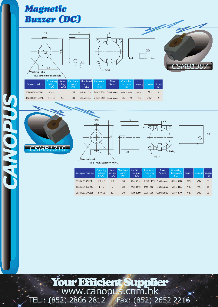 CSMB1307HC24L_3171500.PDF Datasheet