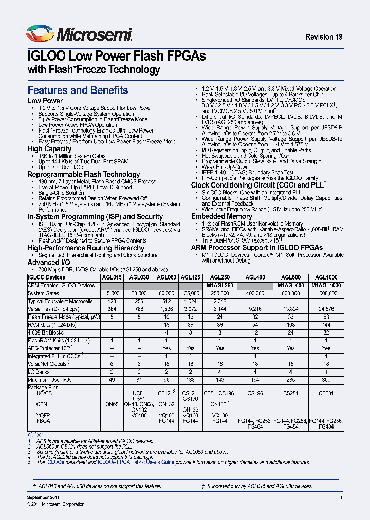 AGL250_3467786.PDF Datasheet