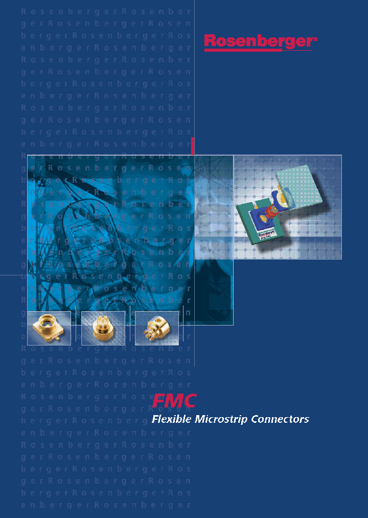 16P101-40ML4_3841775.PDF Datasheet