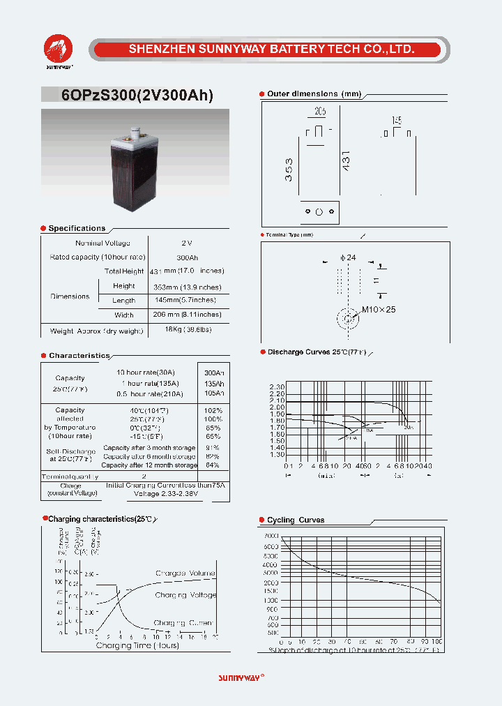 6OPZS300_4208003.PDF Datasheet
