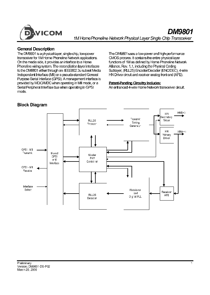 DM9801_4325931.PDF Datasheet