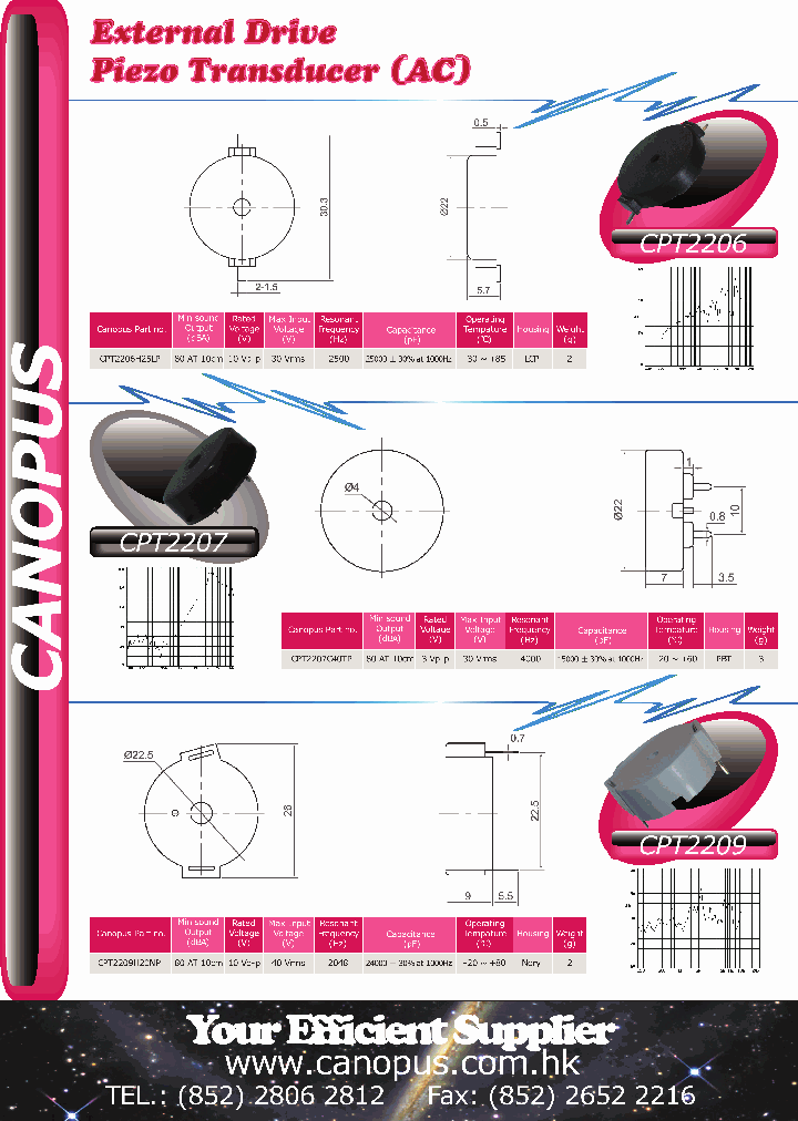CPT2206_4629576.PDF Datasheet