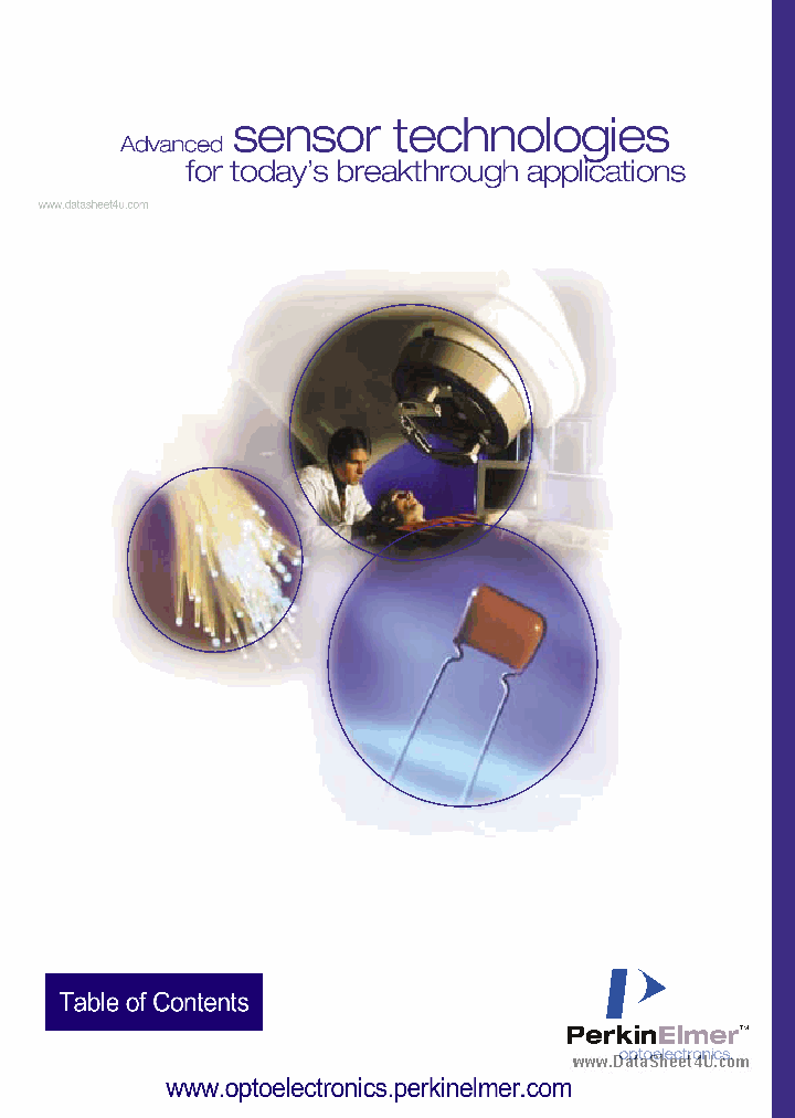 FFD-100_4655403.PDF Datasheet