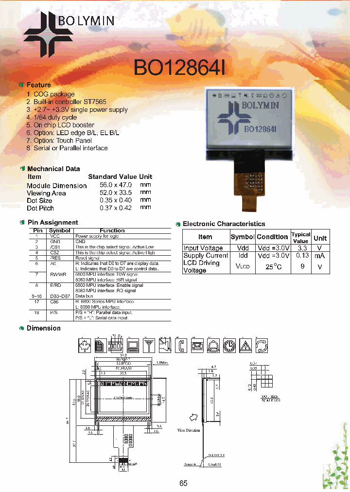 BO12864I_5458198.PDF Datasheet