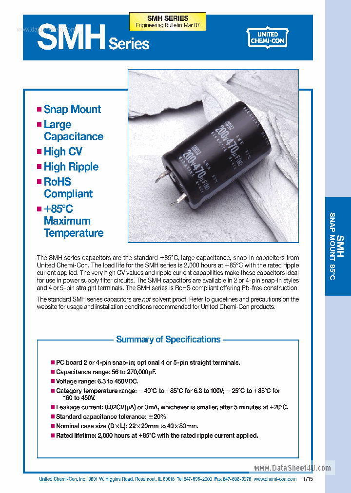 ESMH100VXXXXXXXXXT_5627033.PDF Datasheet