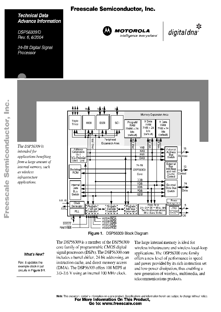 DSP56309_5851963.PDF Datasheet