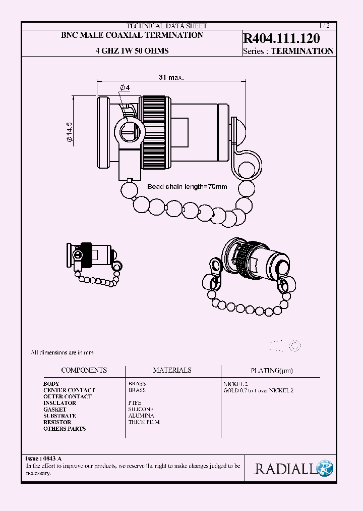R404111120_6906573.PDF Datasheet