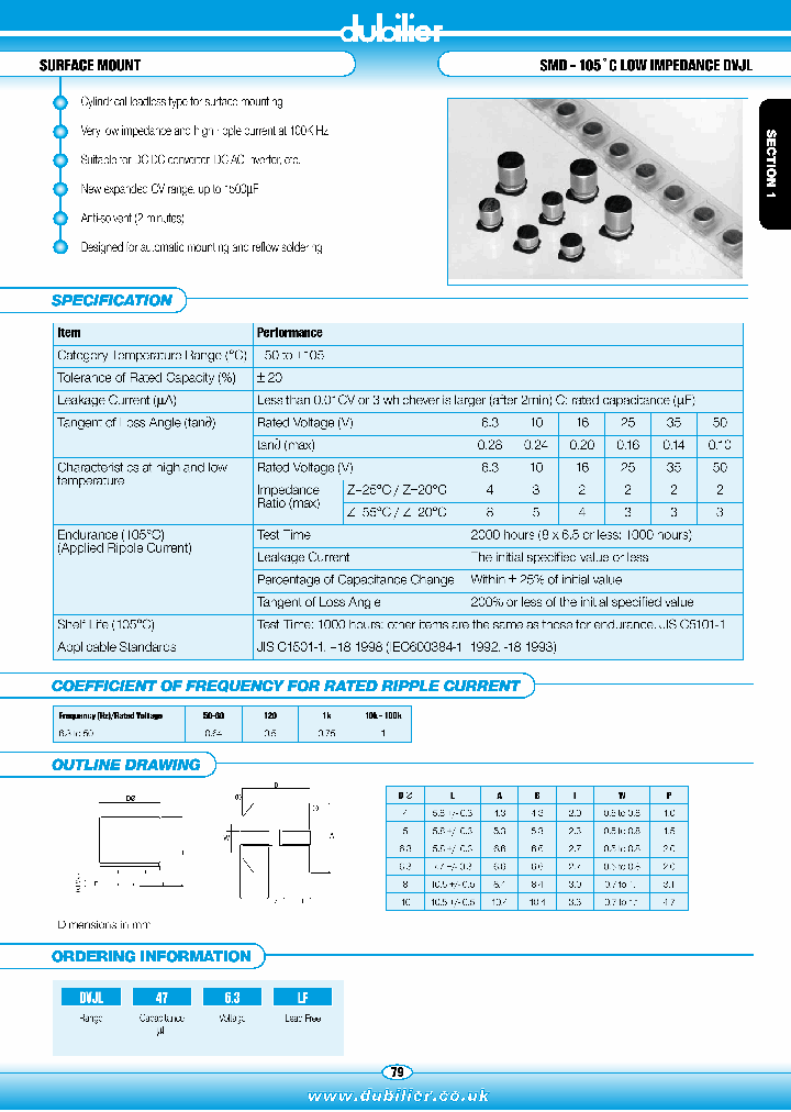 DVJL100063-LF_7192602.PDF Datasheet