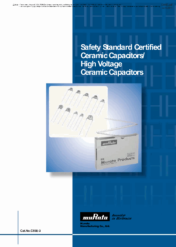 DE1B3KX102JA2A_7286527.PDF Datasheet